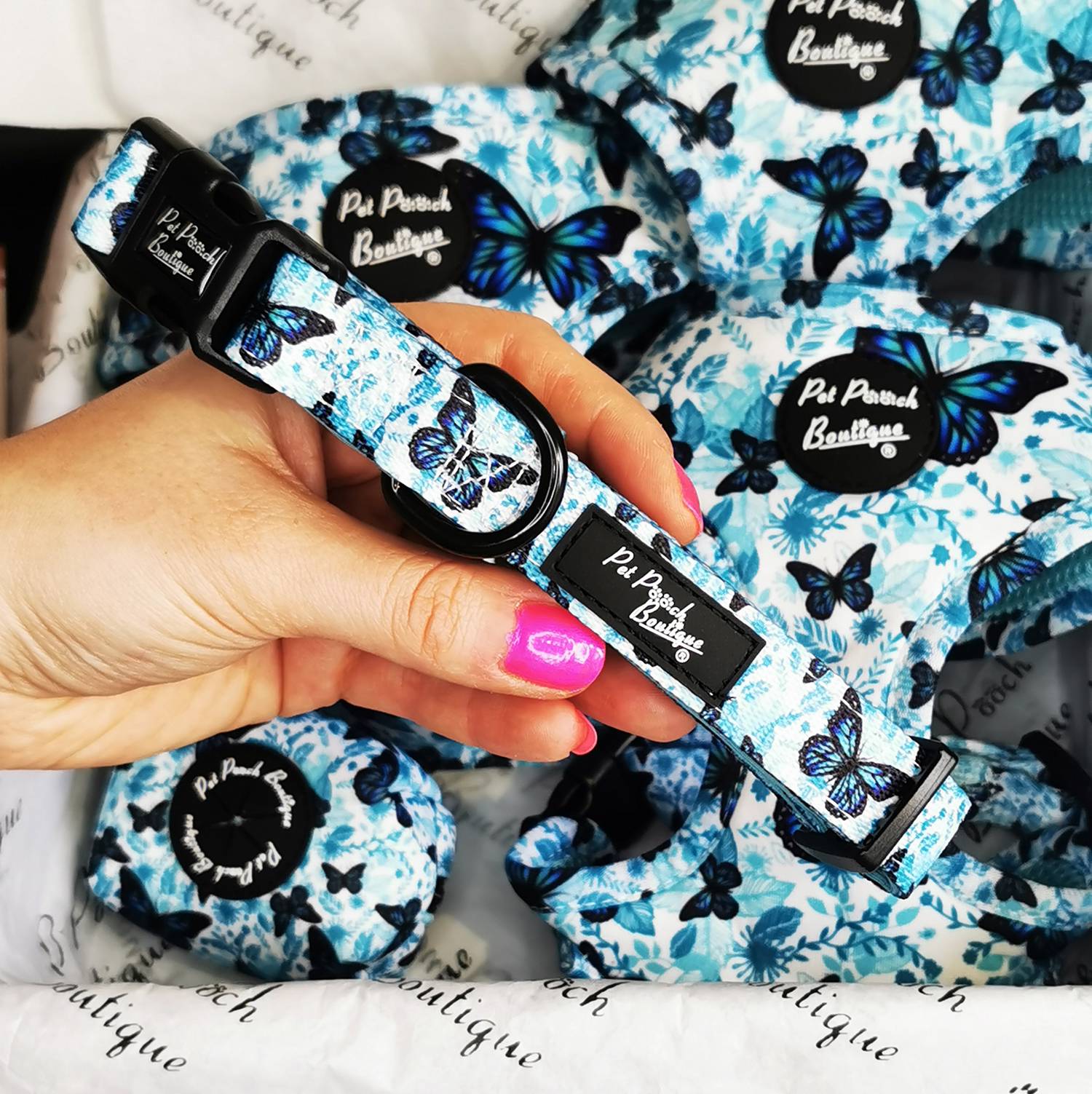 butterfly dog collar