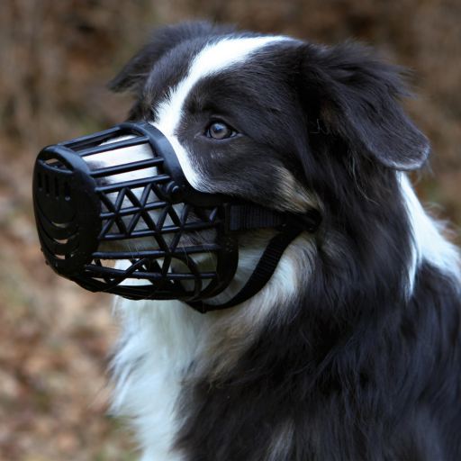 pink basket muzzle