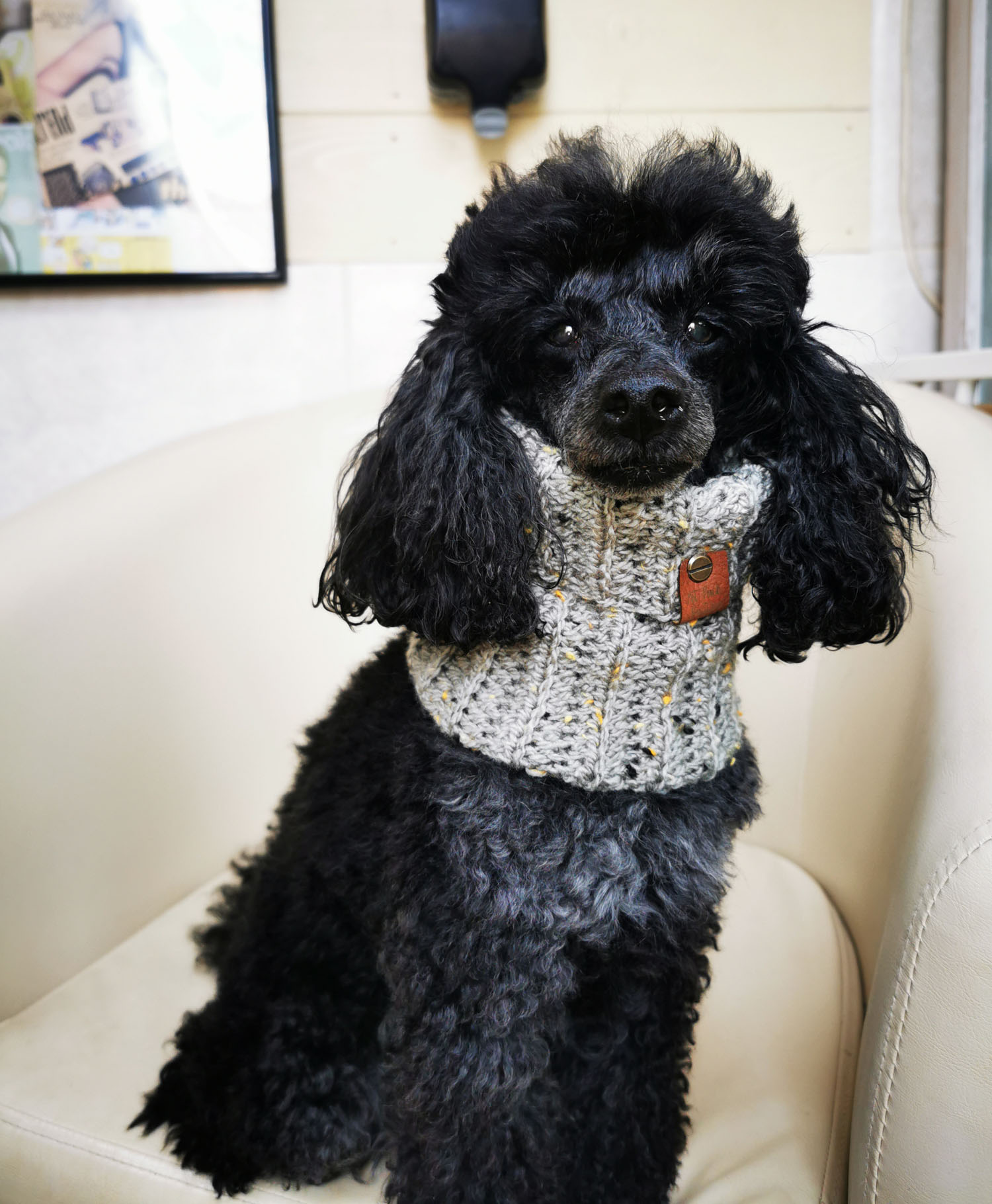 poodle snood