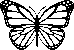 LUV Butterfly Resources