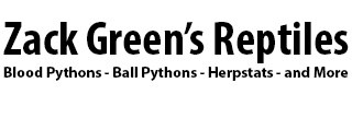 Zack Green's Reptiles