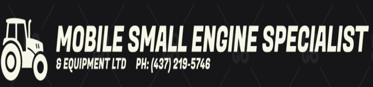 Small Engine Specialist