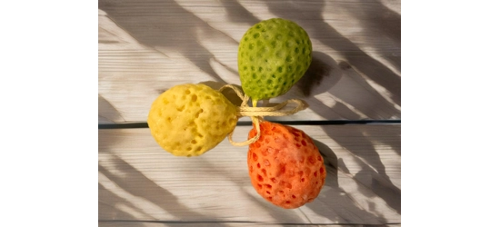 Grungy the soap sponge