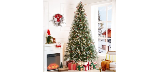 🎄Christmas/Winter❄️