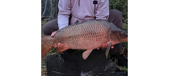 Carp Fishing
