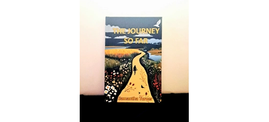 The Journey So Far